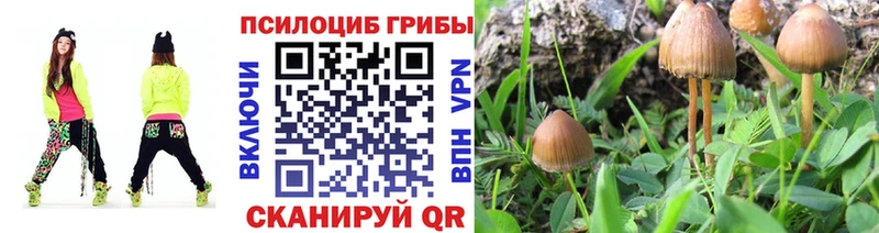 Псилоцибиновые грибы GOLDEN TEACHER  Сольцы 